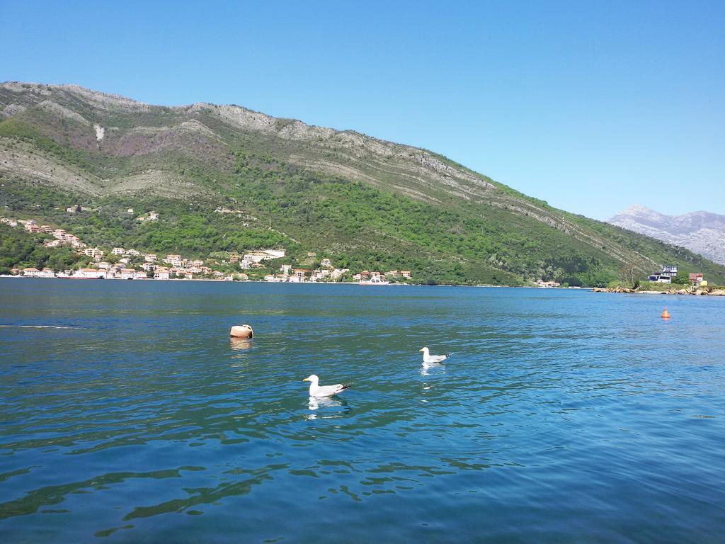 Apartmani Ivana Tivat Buitenkant foto
